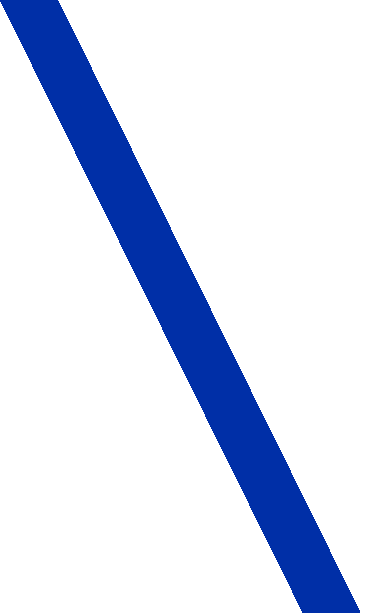 Grafismo Vinci Partner